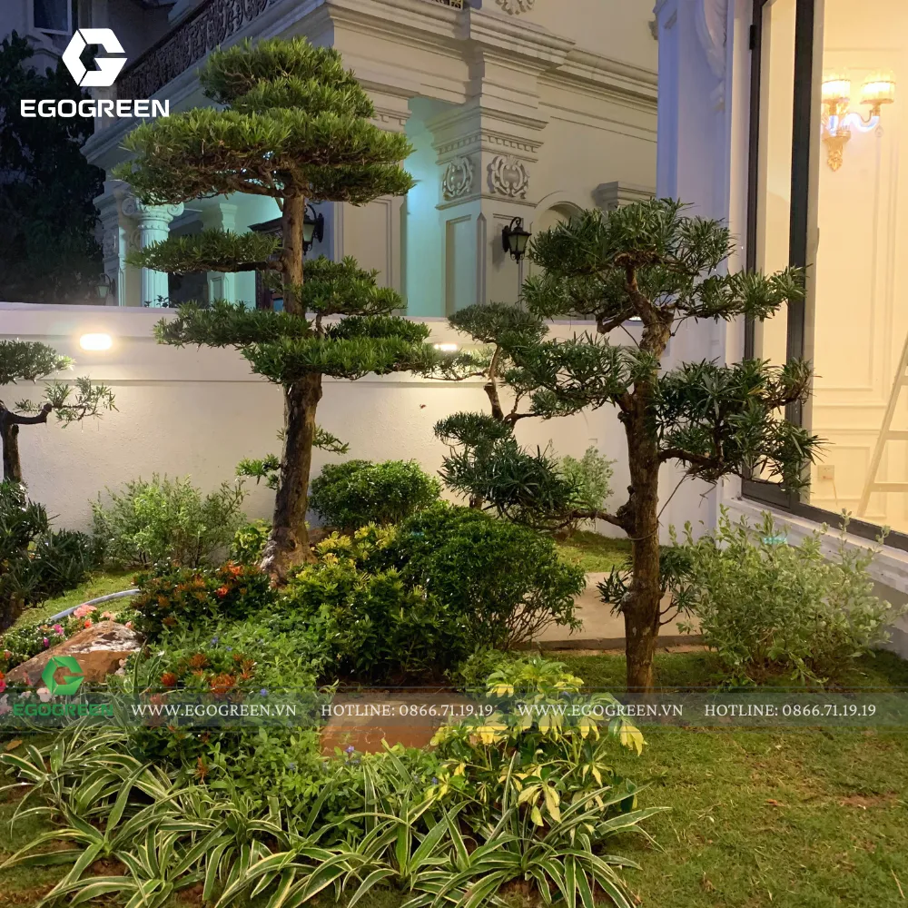 EGOGREEN luôn lựa chọn ánh sáng hài hòa với sân vườn và kiến trúc trong biệt thự cao cấp.